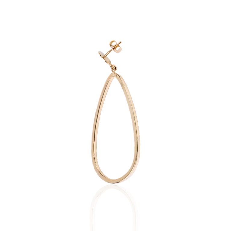 Elegant Dangling Earrings
