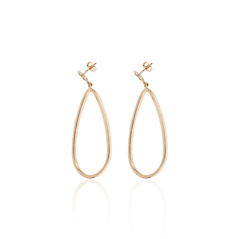 Elegant Dangling Earrings