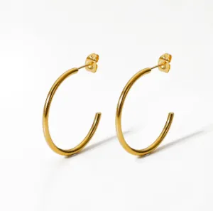 Elegant Hinged Hoop Earrings
