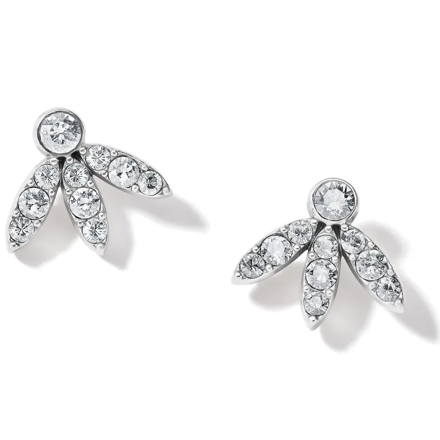 Illumina Flair Post Earrings