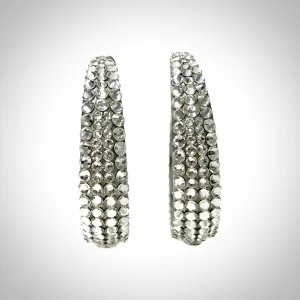 LARGE HOOPS - EJ1848