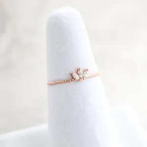 Reine Ring