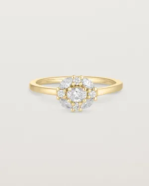 Tilly Halo Ring | Diamonds